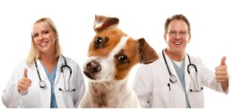 Ветеринарная клиника &laquo;Ветпомощь&raquo;