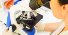 Микроскопия мазков- отпечатков животных  