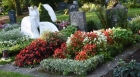 Посадка живых цветов на могилу