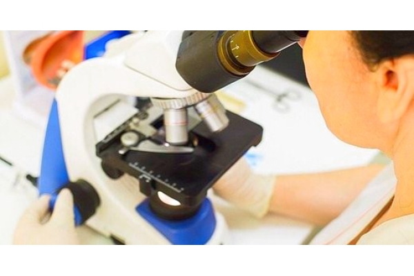 Микроскопия мазков- отпечатков животных  